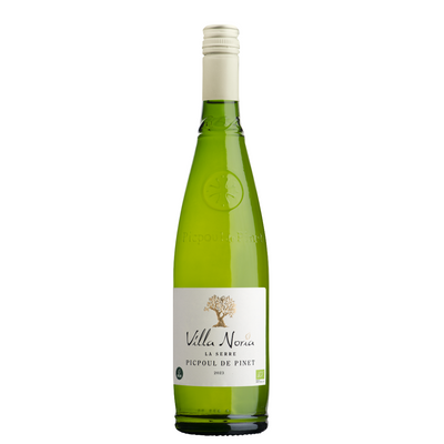 Picpoul