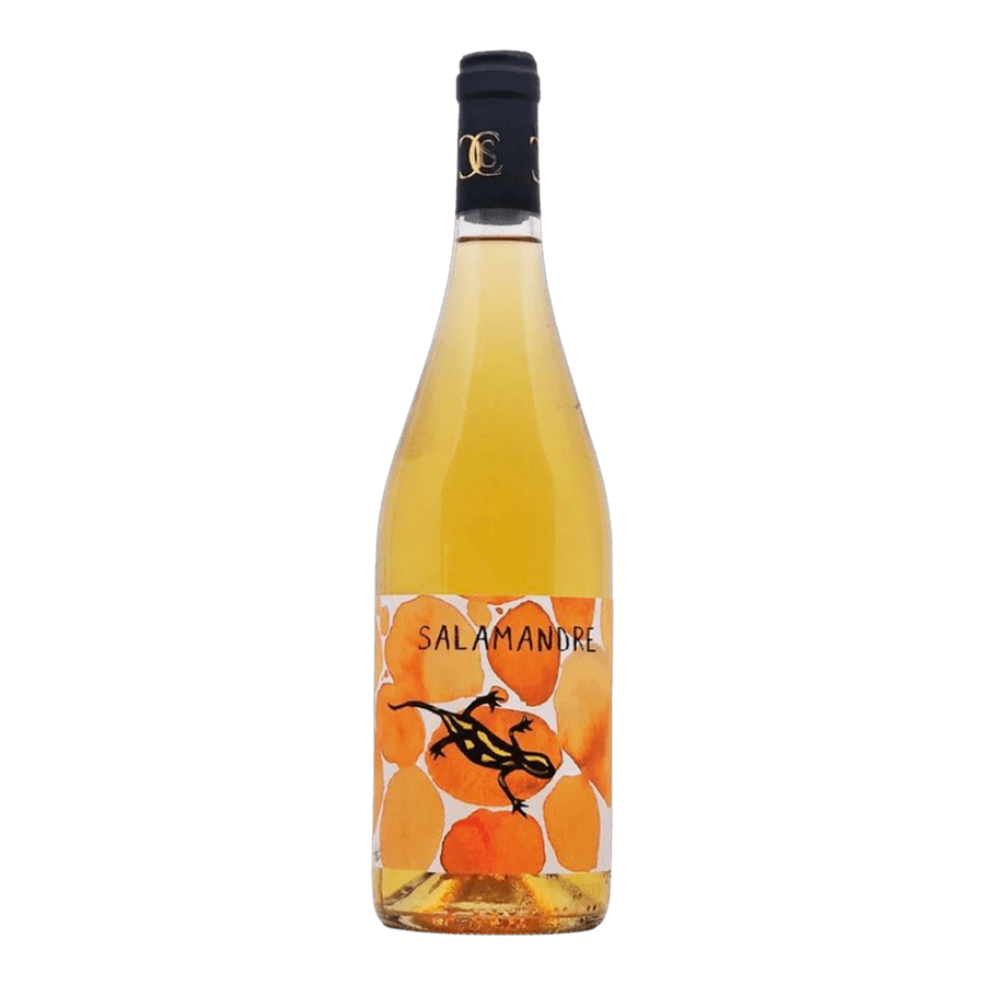 Salamandre Orange