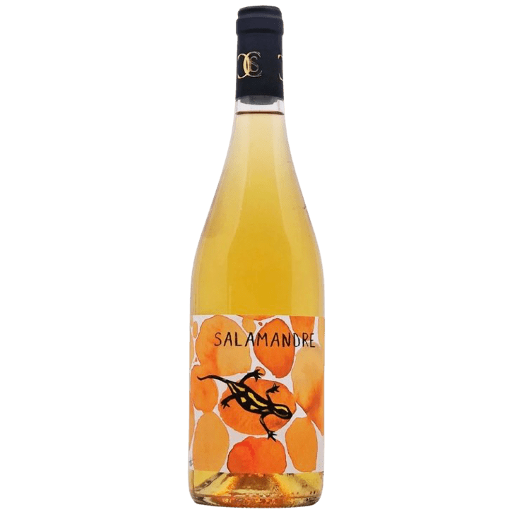 Salamandre Orange