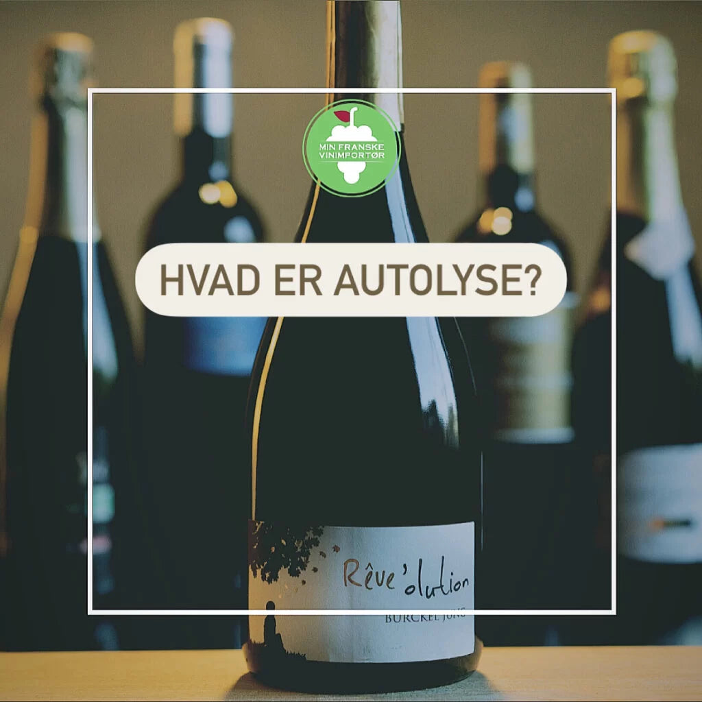 Hvad er autolyse i vin?