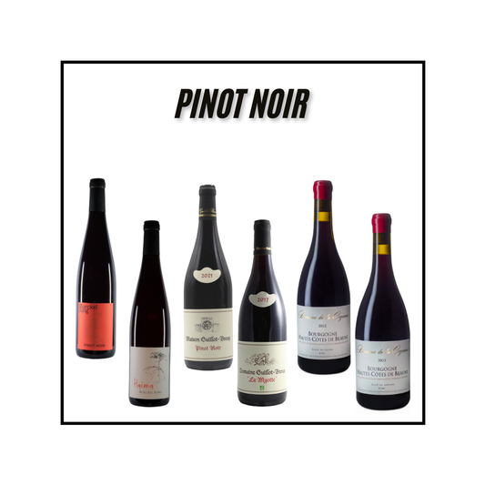 Pinot Noir - Min Franske Vinimportør
