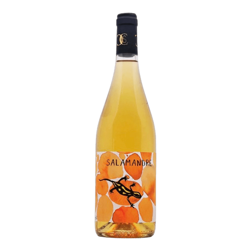 Salamandre Orange