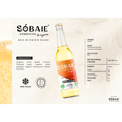 Sobaie Kombucha Blanc - Min Franske Vinimportør