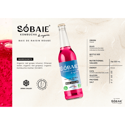 Sobaie Kombucha Rouge - Min Franske Vinimportør