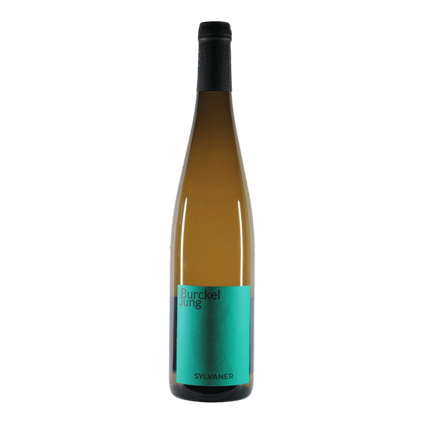 Sylvaner