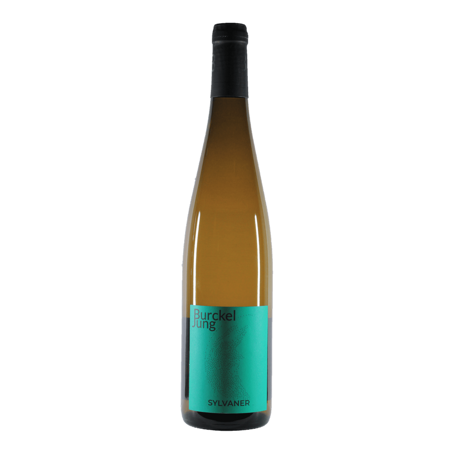 Sylvaner