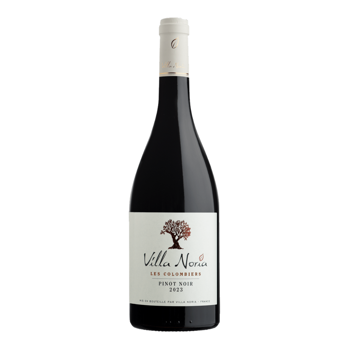Villa Noria - Les Colombiers Pinot Noir - Min Franske Vinimportør